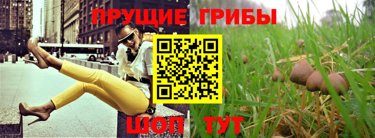 Галлюциногенные грибы GOLDEN TEACHER Железногорск